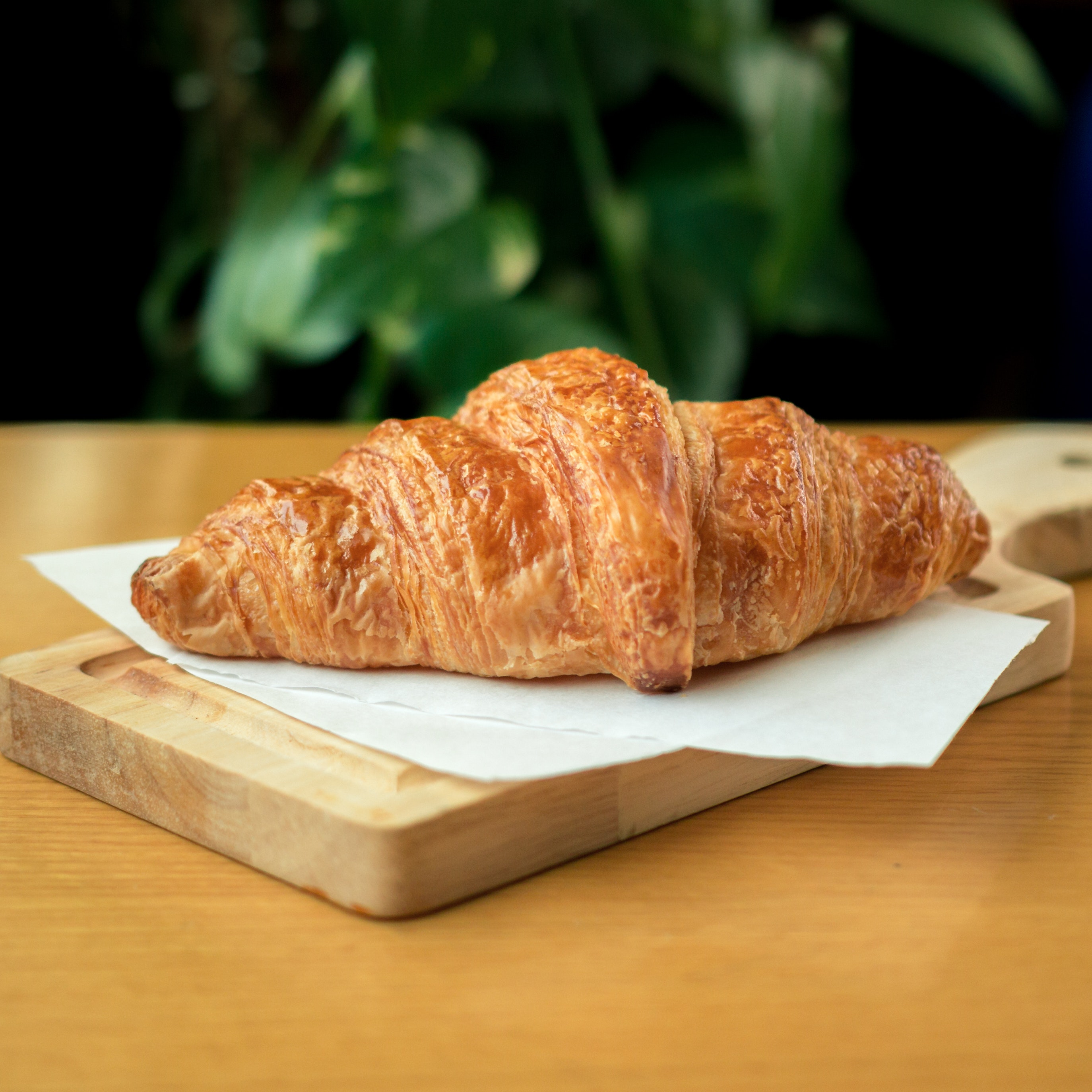 croissant photo